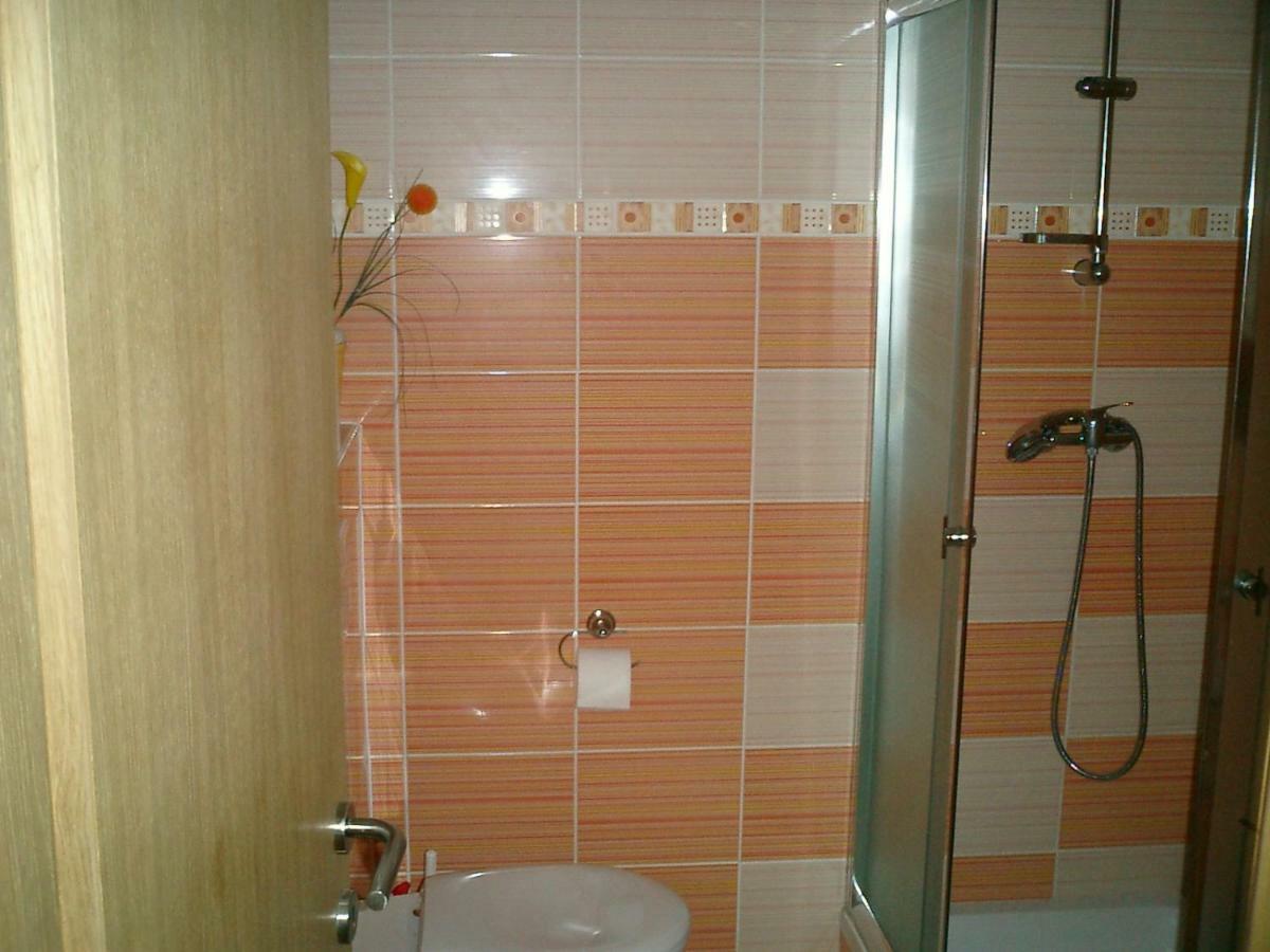 Apartment Vlajina